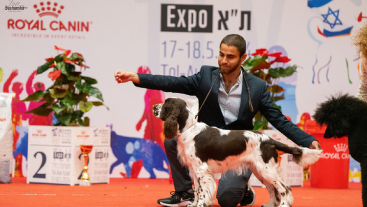 В Тель-Авиве прошла Международная выставка собак