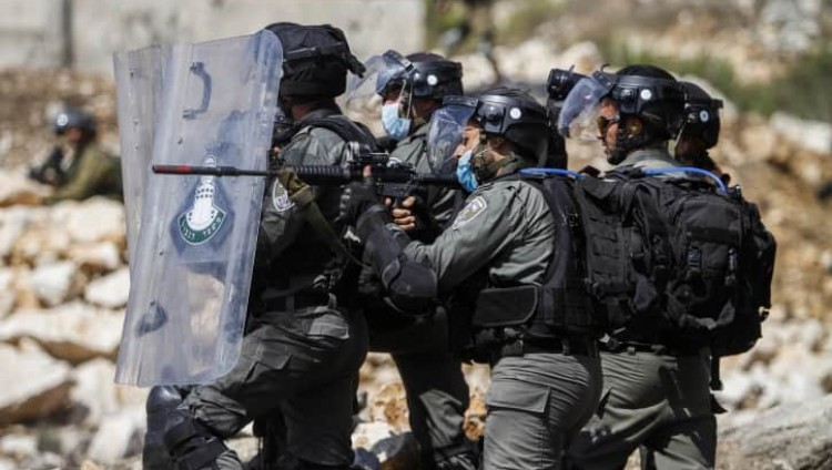 ЦАХАЛ ночью арестовал 13 террористов в Иудее и Самарии