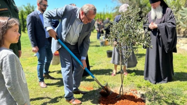 На русском подворье в Иерусалиме в рамках акции «Сад памяти» высадили оливковые деревья