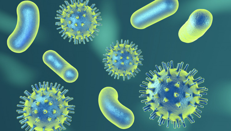 Израильские ученые: вирусы могут победить бактерии, устойчивые к антибиотикам