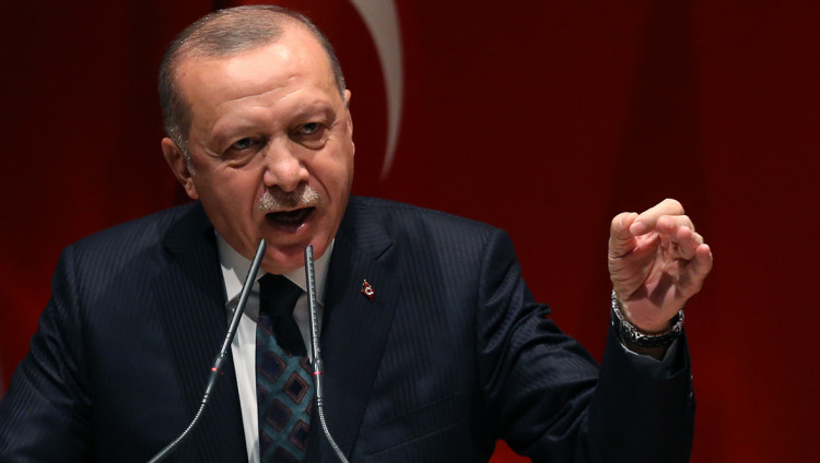 Эрдоган: Израиль закончит в Газе – и придёт в Турцию