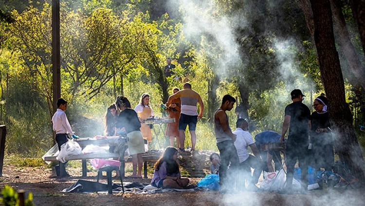 В парках Израиля введен запрет на курение и использование одноразовой посуды