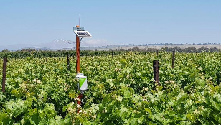 Фермеры Кении получат ирригационную систему израильского стартапа SupPlant
