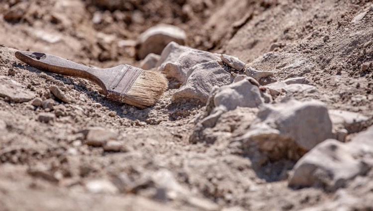На юге Израиля археологи откопали одну из древнейших в мире мечетей