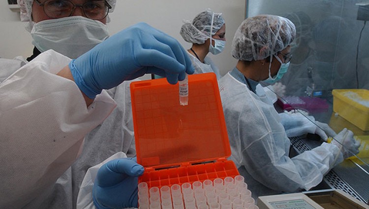 В Израиль завезли вакцину от оспы обезьян