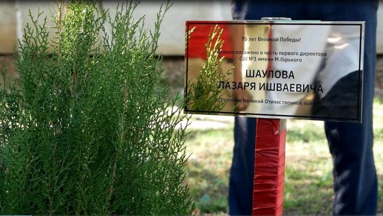 Акция «Дерево памяти» к 75-летию Великой Победы прошла в Хасавюрте 