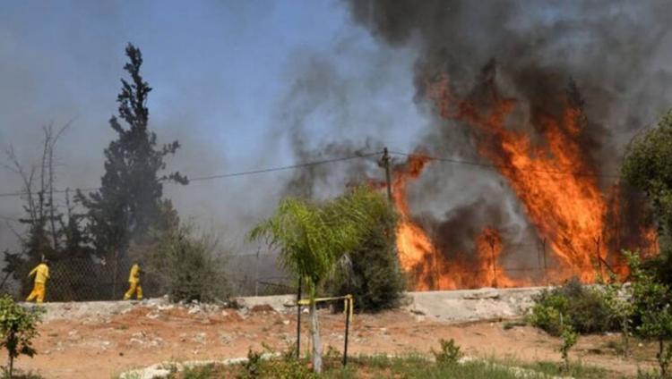 В окрестностях Иерусалима начались лесные пожары