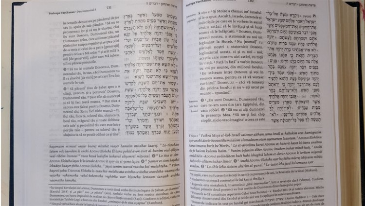 У румынских евреев появился перевод Торы на родной язык
