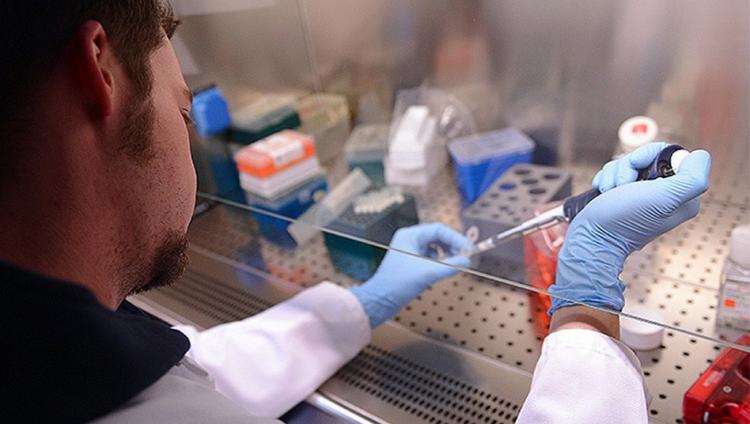 Израильские ученые нашли альтернативу антибиотикам при туберкулезе