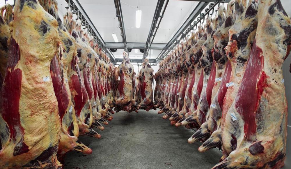 Польша продолжит поставки кошерного мяса в Европу