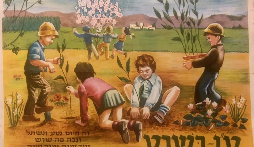 Как Израиль придал новый смысл празднику Ту би-Шват