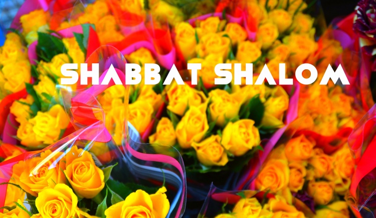 Рубрика Шабат Шалом: Краткие законы соблюдения субботы 11. Пахота (хорэш)