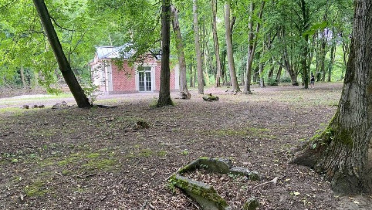 Старое еврейское кладбище в Калининграде подключат к системе «Безопасный город»
