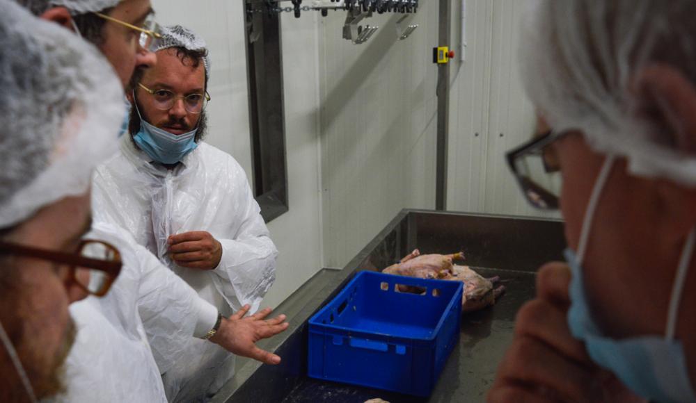 Венгрия стала европейским лидером по производству кошерной фуа-гра