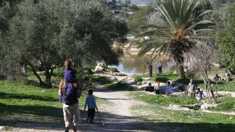 За 30 лет в Израиле существенно выросла температура