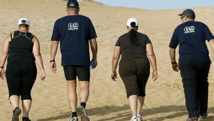 Число страдающих ожирением в Израиле растет за счет бедных слоев населения 
