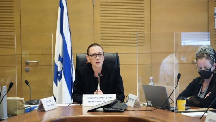 Депутат от НДИ выступила в комиссии Кнессета против унизительных проверок на еврейство