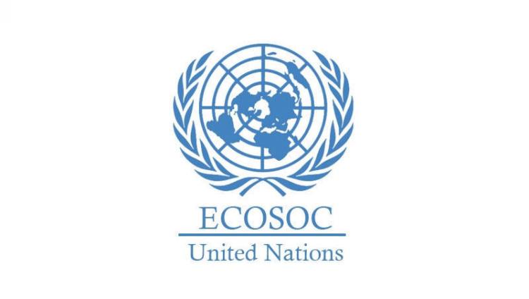 Успех в ООН: Израиль впервые избрали членом экономического и социального совета (ECOSOC)