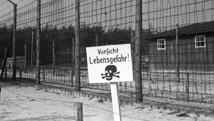 Исследование: англоязычная Википедия грубо искажает историю Холокоста