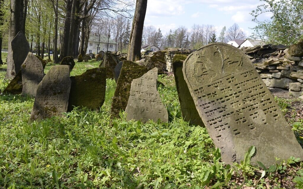 nowy_zmigrod-stones-in-veja-į pietus nuo Lenkijos-ten buvo 800 žydų-prieš karą-labiausiai-nužudyti-42-miške-ar-belzen-1024x640.jpg