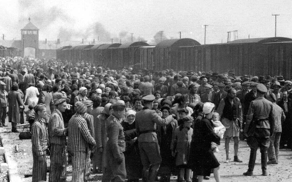 Selection_on_the_ramp_at_Auschwitz-Birkenau_1944_Auschwitz_Album_1b-1024x640.jpg