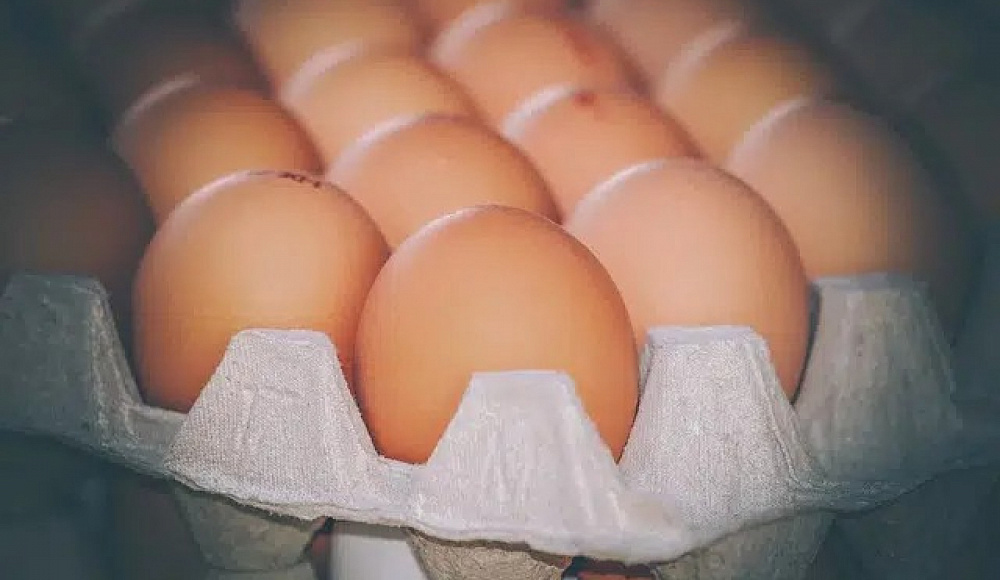 В Израиле ожидается дефицит яиц — главный производитель прекратил поставки