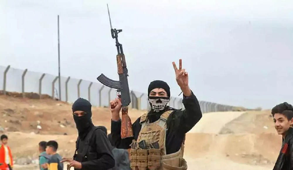 Israel Hayom: сирийские курды попросили Израиль о помощи в борьбе с исламистскими ополченцами
