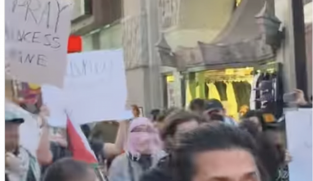 Пропалестинские активисты устроили протест против израильтянки Ширы Хаас на премьере нового «Капитана Америки»