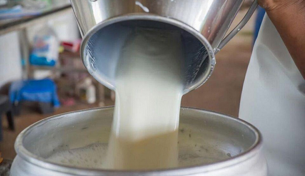 Компания «Тнува» выделит средства на восстановление молочных ферм в приграничных с сектором Газа районах