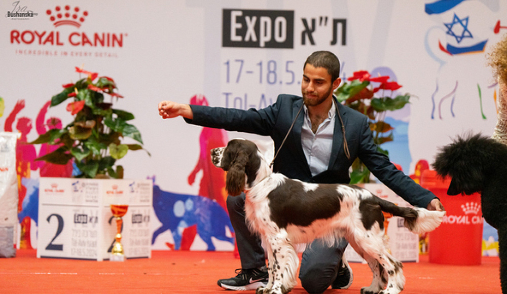 В Тель-Авиве прошла Международная выставка собак
