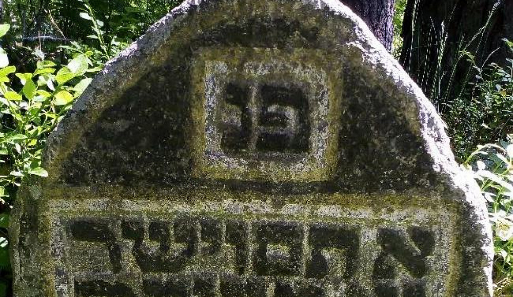 В Луге обнаружено заброшенное еврейское кладбище