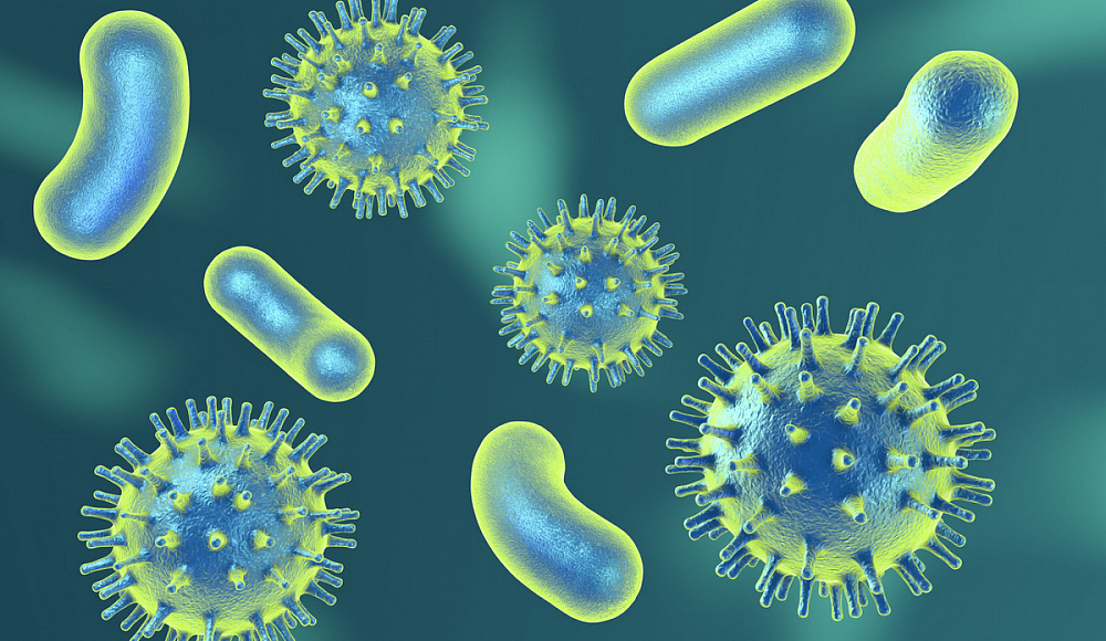 Израильские ученые: вирусы могут победить бактерии, устойчивые к антибиотикам