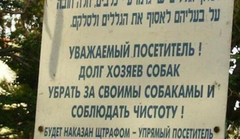 В Израиле стартовал проект по сохранению русского языка