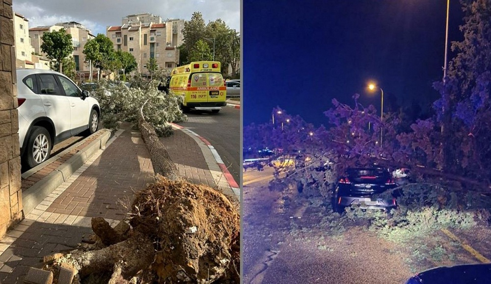 Буря в Израиле: падают деревья, вылетают стекла, люди попадают в больницу