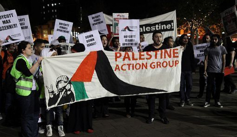 Полиция Лондона предъявила обвинения сторонникам Palestine Action