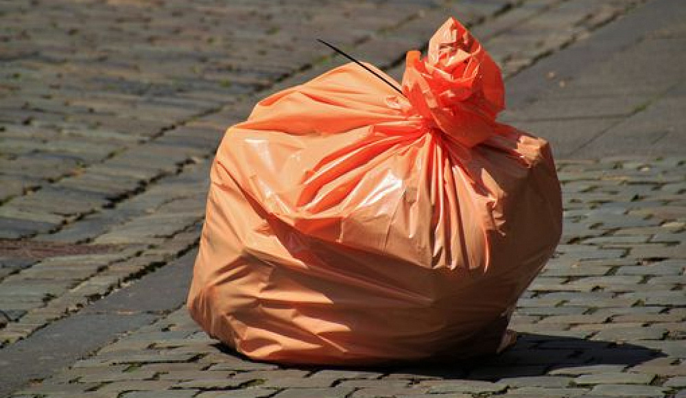 Использование одноразовых пластиковых пакетов в Израиле сократилось на 73%