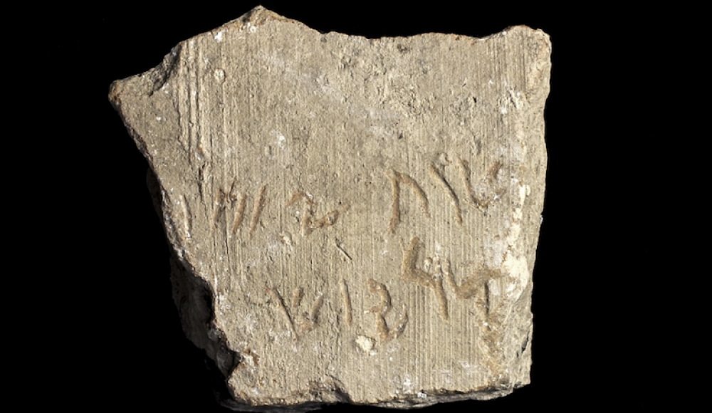 В Израиле на 2500-летнем черепке обнаружено имя царя Дария - отца Ахашвероша из истории Пурима
