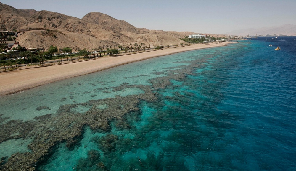 Отчет ученых: коралловый риф в Эйлатском заливе постепенно исчезает