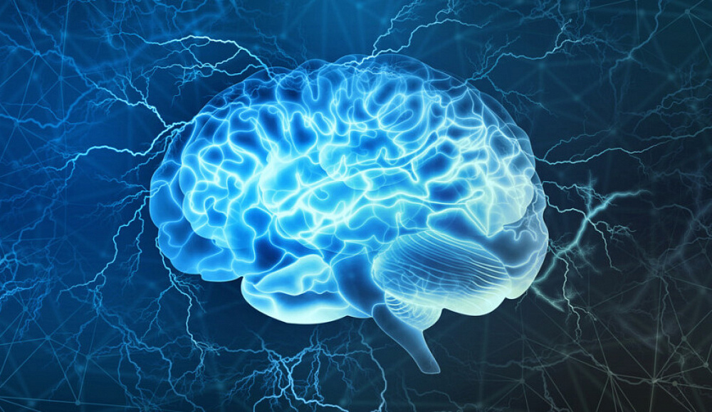 Ученые Израиля и США обнаружили зону мозга, отвечающую за сознательный опыт
