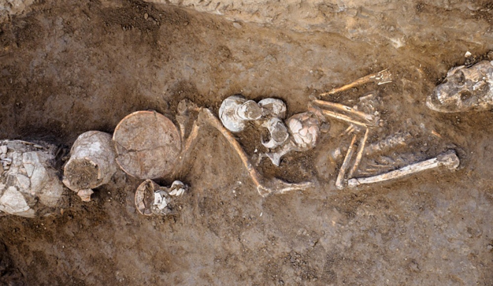 Израильские археологи обнаружили древнейшее в истории свидетельство использования наркотиков