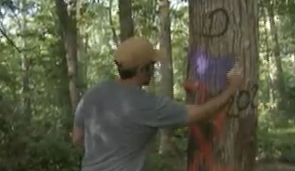Возле мемориала Холокоста в штате Нью-Йорк обнаружены граффити со свастикой
