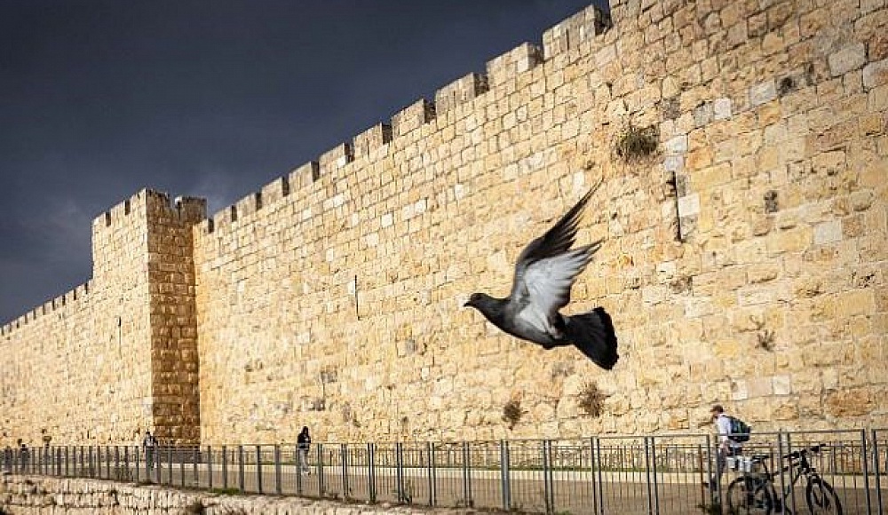 ШАБАК предотвратил теракт в Иерусалиме