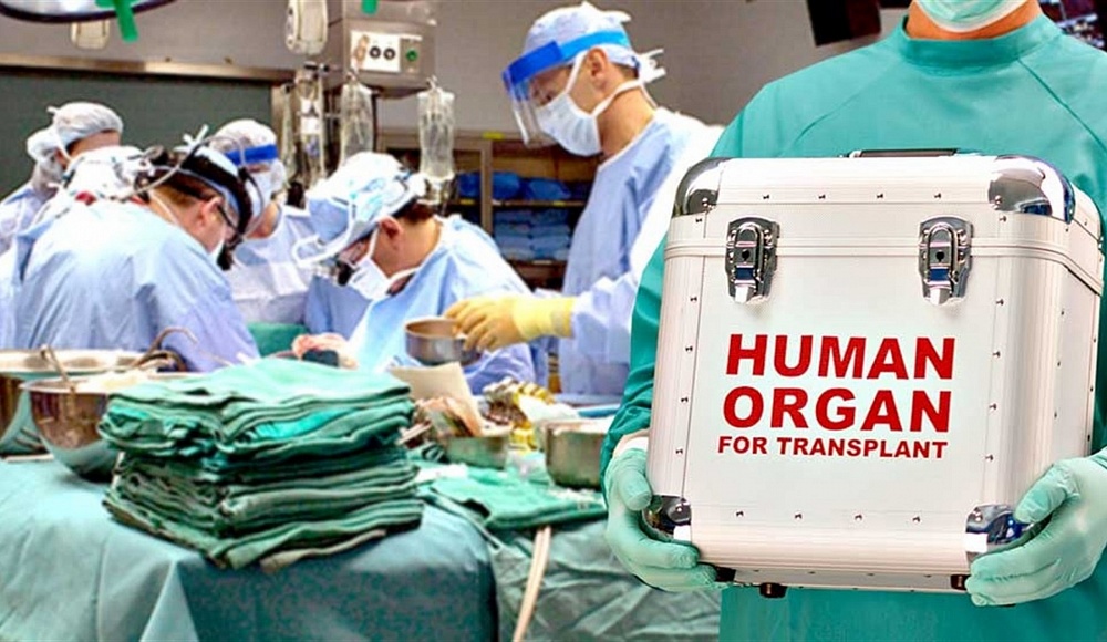 В Израиле за 2022 год провели рекордное количество трансплантаций органов