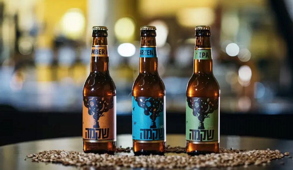 В Израиле выпустили крафтовое пиво, сделанное на 3000-летних дрожжах