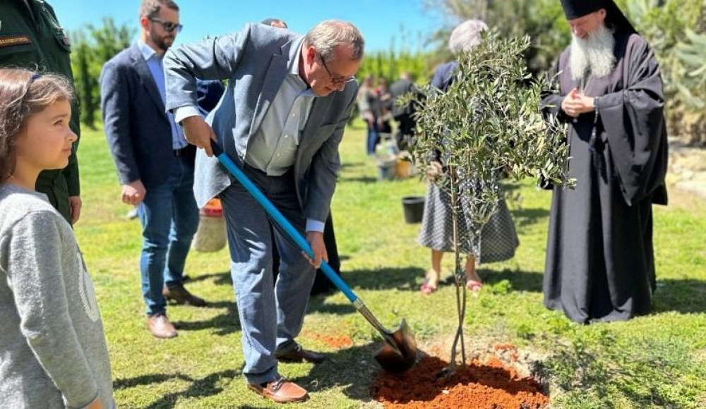 На русском подворье в Иерусалиме в рамках акции «Сад памяти» высадили оливковые деревья